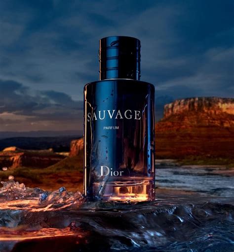 dior savage ex|dior sauvage best price.